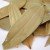 Bay Leaves